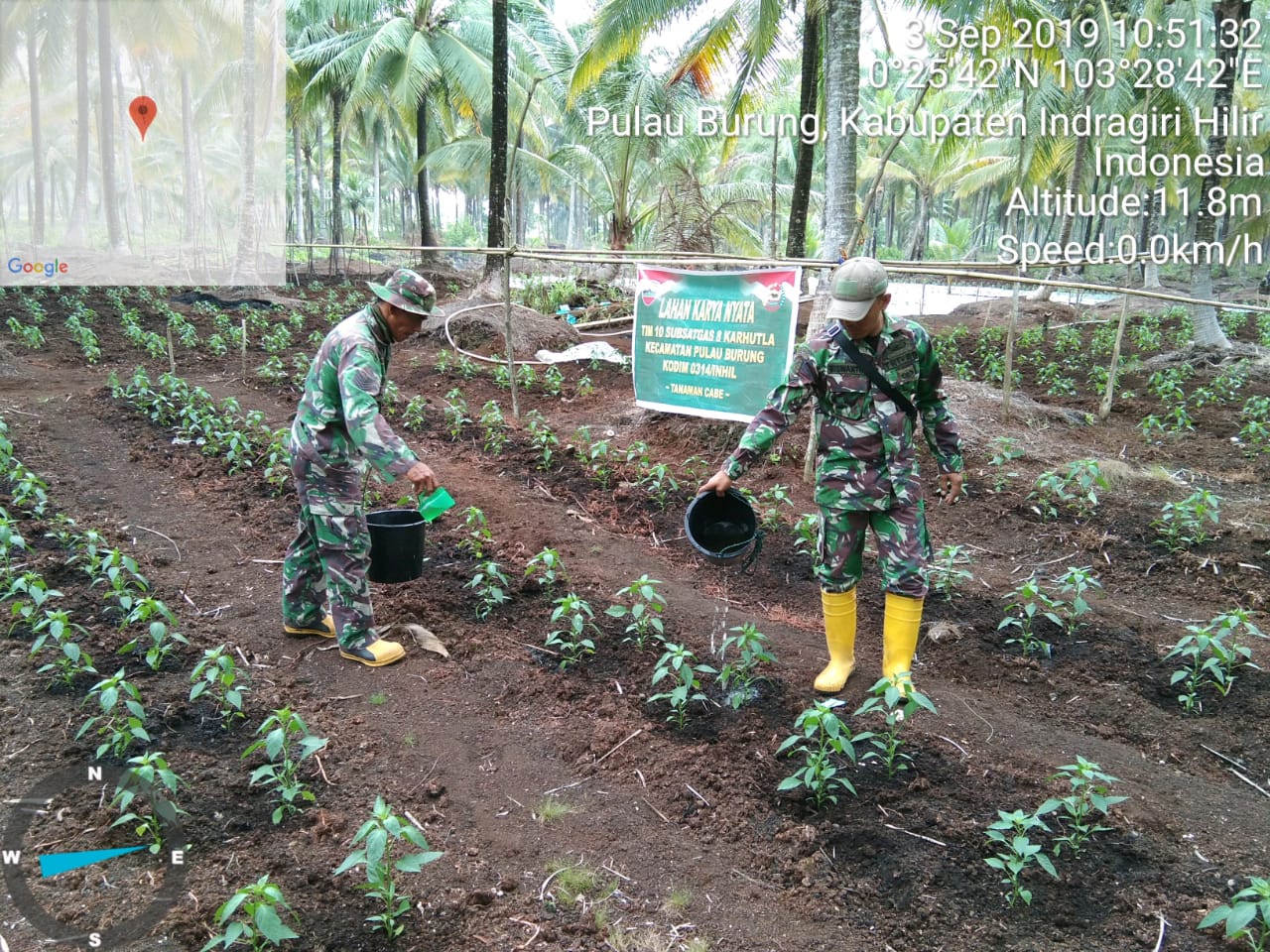 Koramil 11 Pulau Burung Melaksanakan Kegiatan Karya Nyata Penanaman Cabe