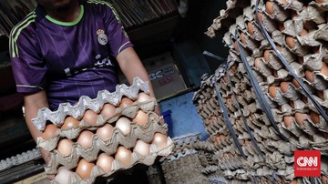 Bulog Mengakui Sulit Kendalikan Harga Telur