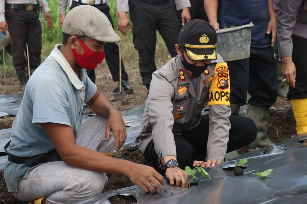Polres Inhil Laksanakan Penanaman Bibit Palawija Program Polda Riau Jaga Kampung Nusantara