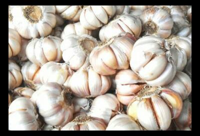 Jelang Pemilu, Harga Bawang Putih Mencapai Rp44.000/Kg