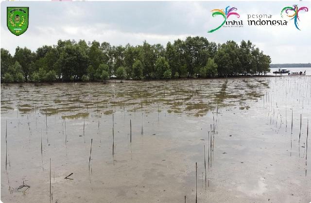 Keindahan Pantai Terumbu Mabloe Saat Dilihat  Dari Udara