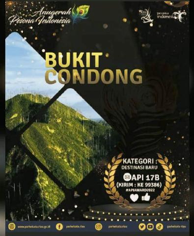 Bupati Inhil Ajak Masyarakat Dukung Wisata Bukit Condong di Nominasi API