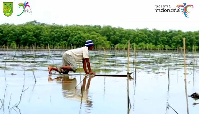 Budaya Menongkah di Pantai Terumbu Mabloe Kabupaten Inhil