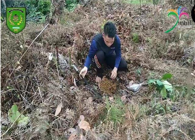 Disparporabud Inhil  Terus Lakukan Pembenahan Jalur Pendakian dan Puncak Bukit Pendam