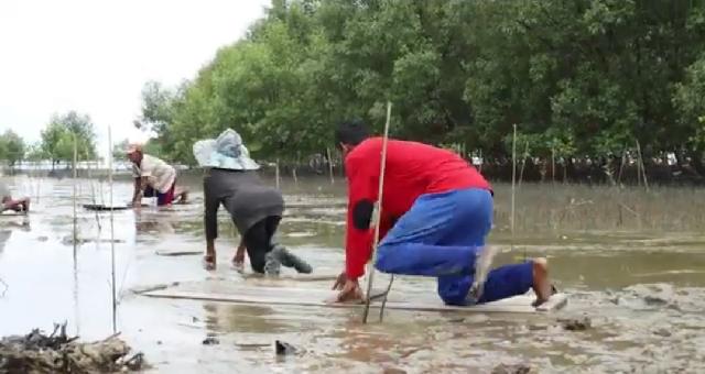 Pantai Terumbu Mablue Desa Sungai Belah