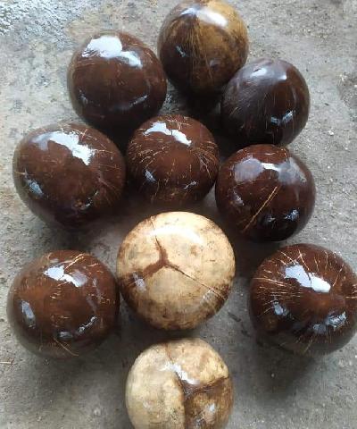 Potret Kerajinan Tangan dari Limbah Tempurung Kelapa