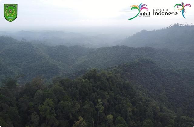 Wisata Alam Dengan Penuh Ketenangan, Berikut Potret Bukit Gelanggan Mudo