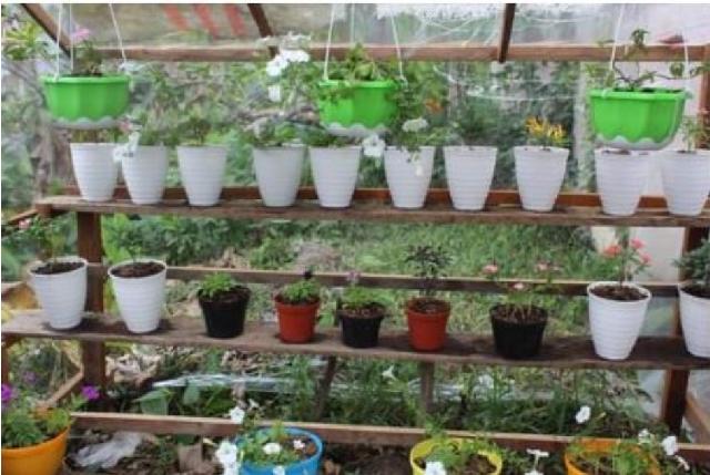 BUMDesa Tanjung Raya Sediakan Alat Perlengkapan Pertanian