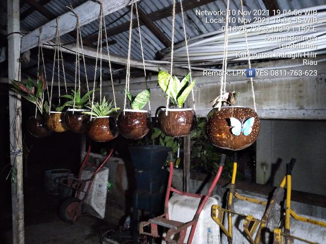 Potret Kerajinan Tangan dari Tempurung Kelapa di Inhil yang Mulai Dilirik Pembeli