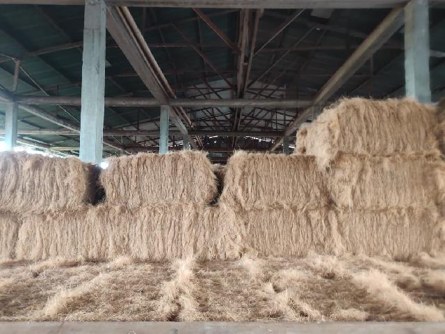 Potret Hasil Pengolahan Sabut Kelapa di Kecamatan Kateman